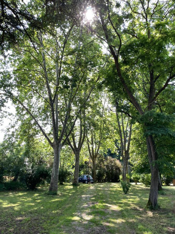 Petit Chateau Le Piot Bed & Breakfast Fleurance Bagian luar foto
